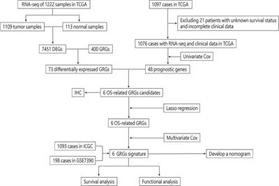 Characterization of glucose metabolism in breast cancer to guide clinical therapy